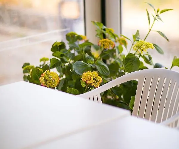 Blumarine Πανσιόν Eforie Nord